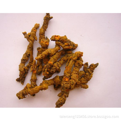 a perennial herb Heated Coptis